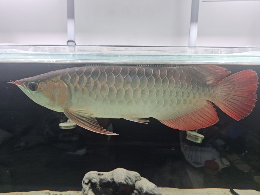 15 sept.jpg 15 sept.jpg