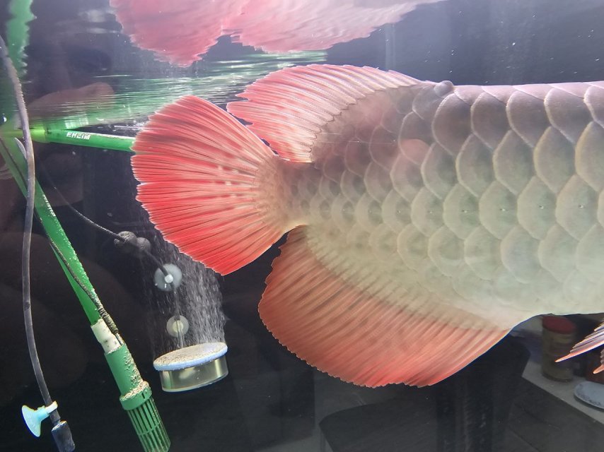 15 september (2).jpg 15 september (2).jpg