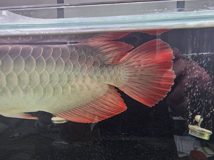 15 september (3).jpg 15 september (3).jpg