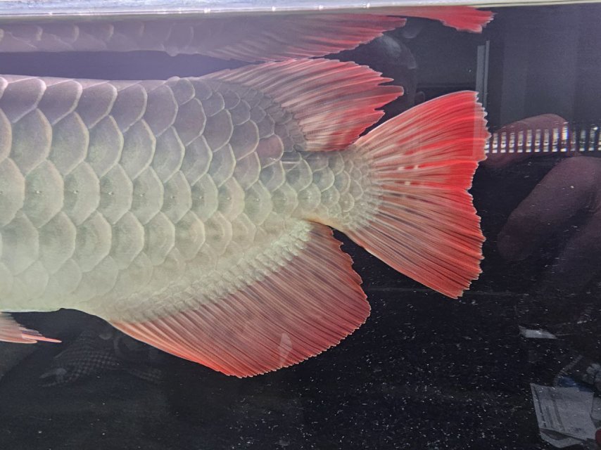 15 september (4).jpg 15 september (4).jpg