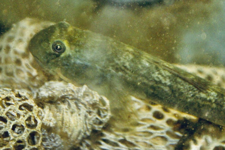 IMG_9027.jpeg IMG_9027.jpeg