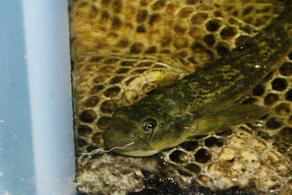 IMG_9009.jpeg IMG_9009.jpeg