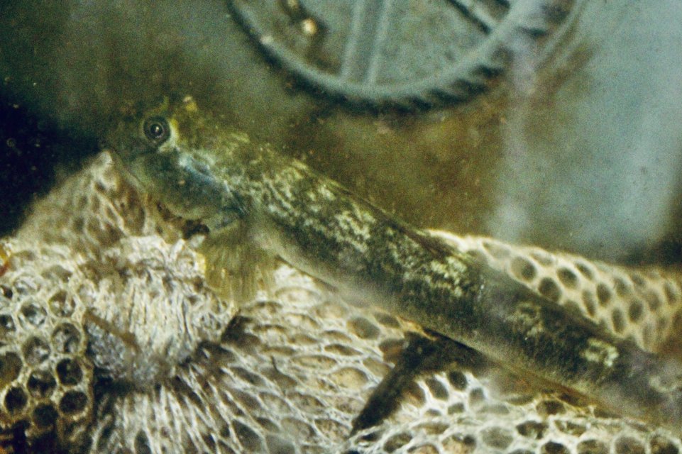 IMG_9016.jpeg IMG_9016.jpeg