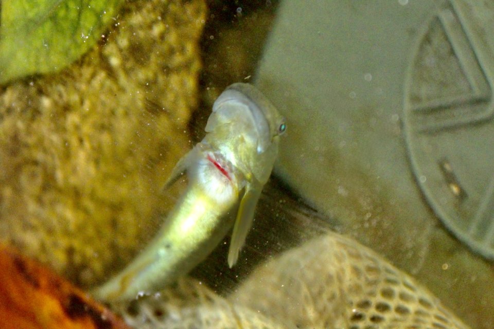 IMG_8942.jpeg IMG_8942.jpeg