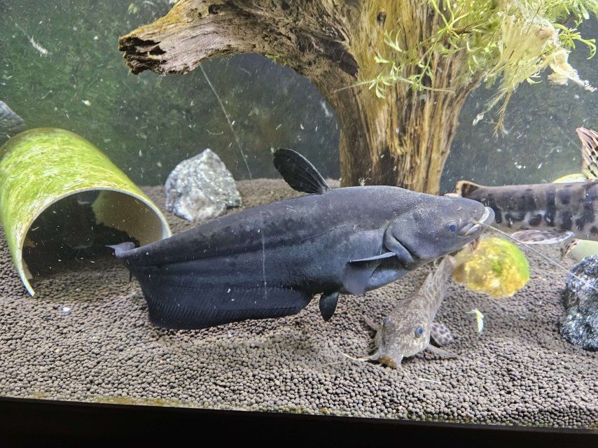 20230930_125145.jpg 20230930_125145.jpg