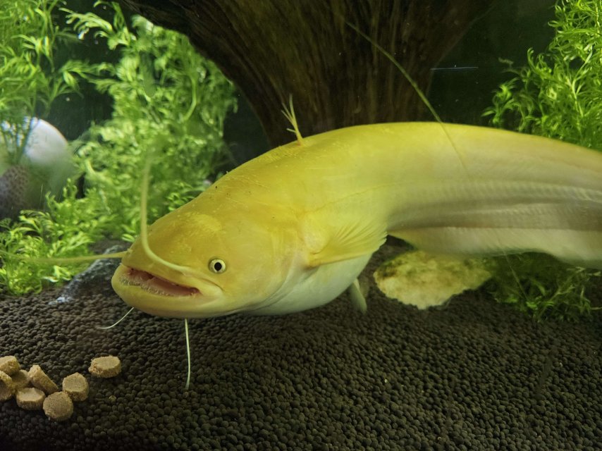 20231122_110137.jpg 20231122_110137.jpg