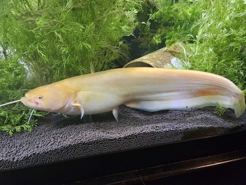 20231204_181834.jpg 20231204_181834.jpg