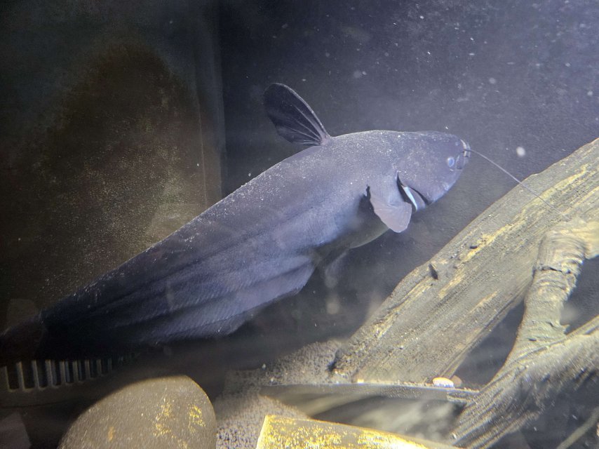 20250326_160036.jpg 20250326_160036.jpg