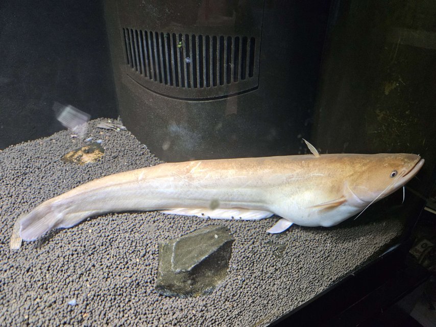 20250326_160045.jpg 20250326_160045.jpg