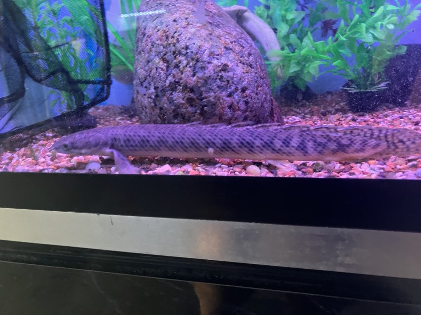 IMG_5659.jpeg IMG_5659.jpeg