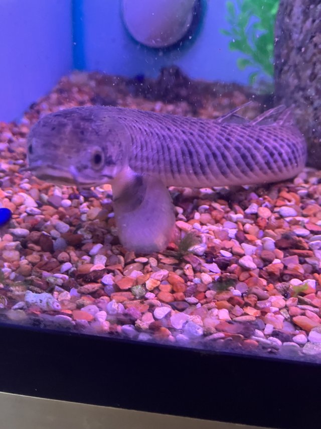 IMG_5664.jpeg IMG_5664.jpeg