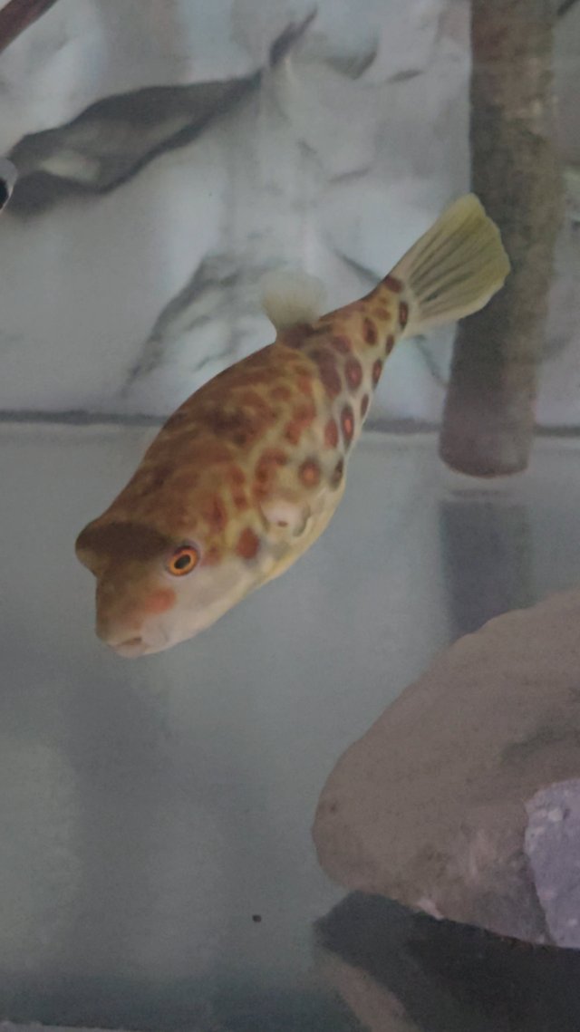 20251028_105705.jpg 20251028_105705.jpg