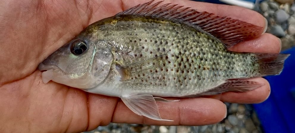 65f5b641-cb3e-4f2d-9de2-c1192103868e.jpeg 65f5b641-cb3e-4f2d-9de2-c1192103868e.jpeg