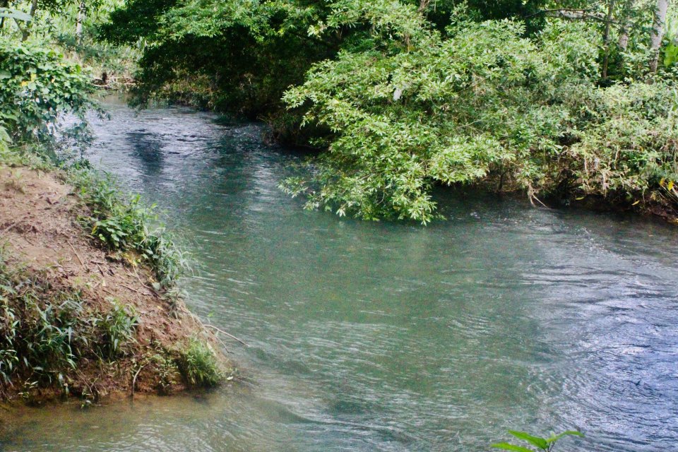 IMG_4026.jpeg IMG_4026.jpeg