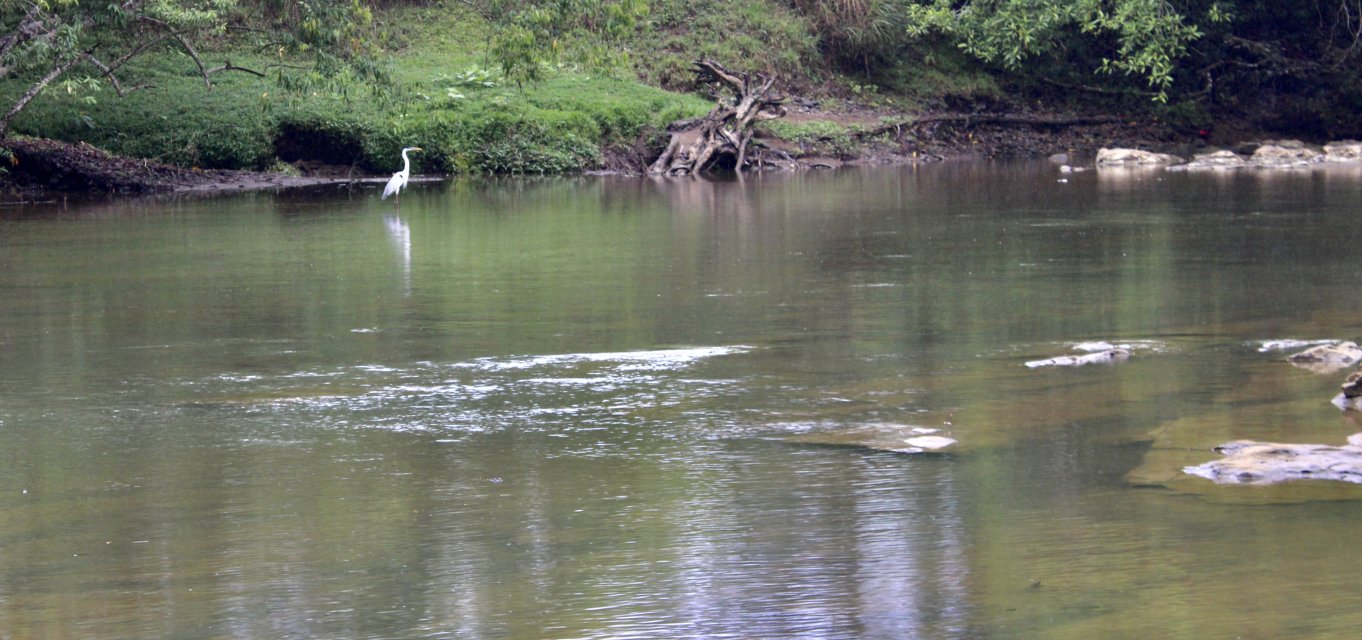 IMG_2745.jpeg IMG_2745.jpeg