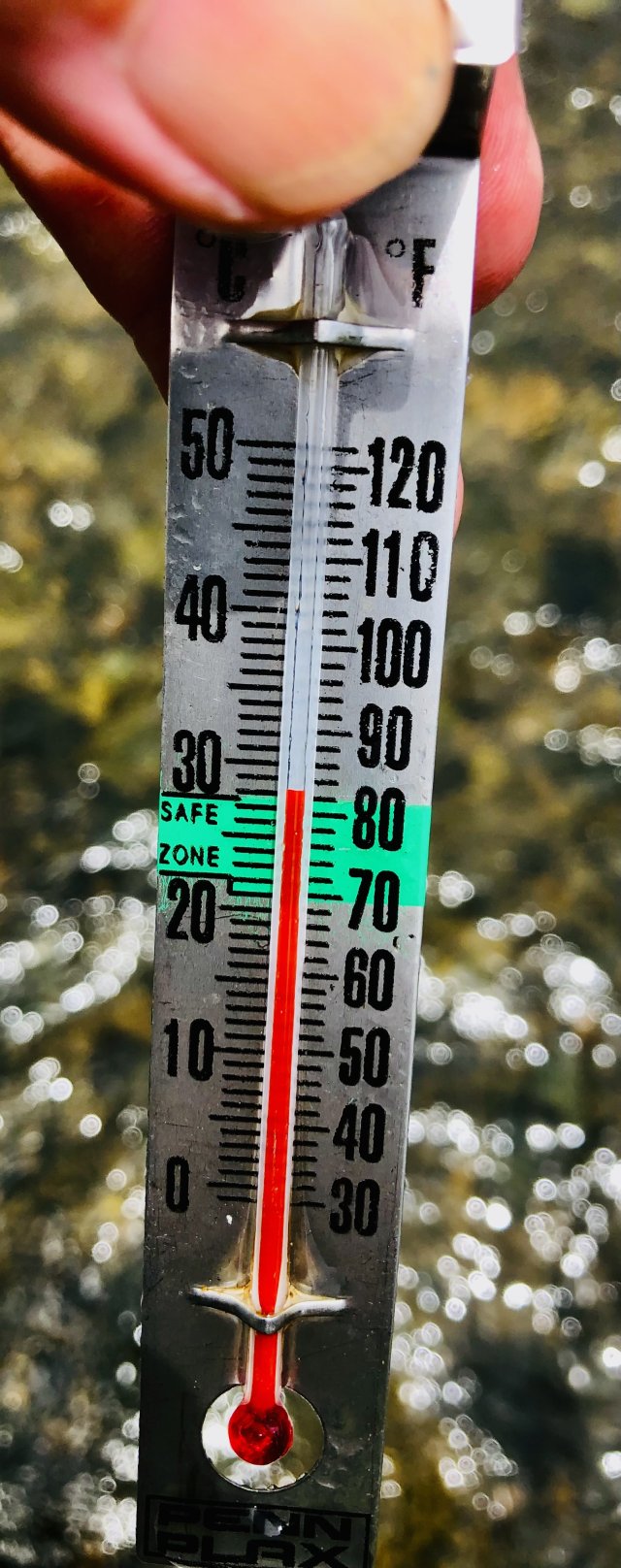 IMG_6870.jpeg IMG_6870.jpeg