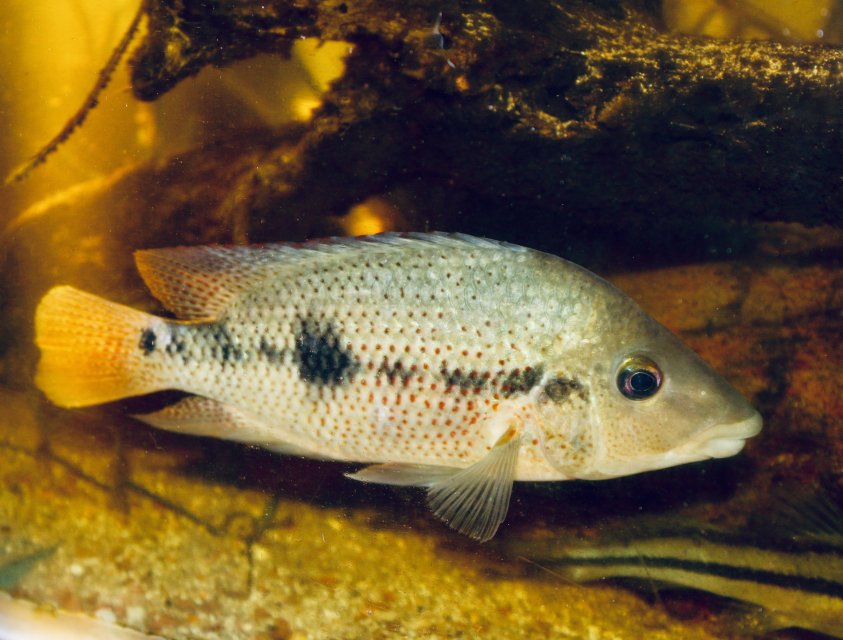 IMG_8554.jpeg IMG_8554.jpeg