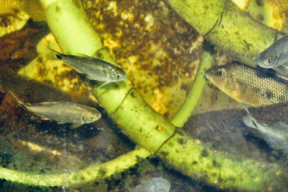 IMG_3948.jpeg IMG_3948.jpeg