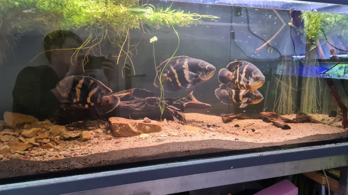 20231231_140125.jpg 20231231_140125.jpg