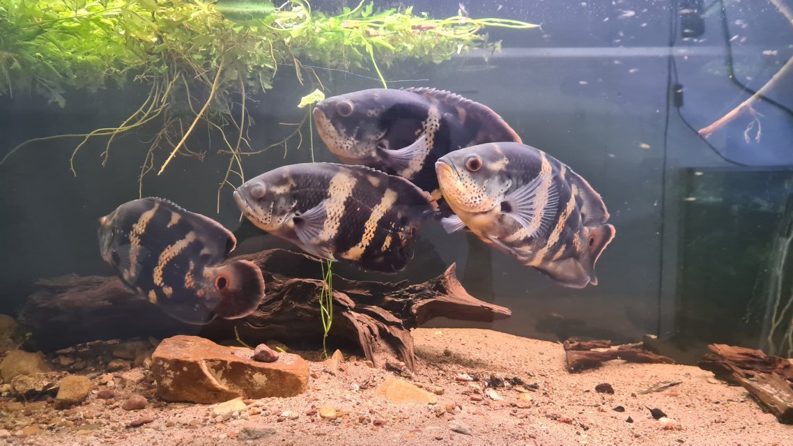 20231231_140649.jpg 20231231_140649.jpg