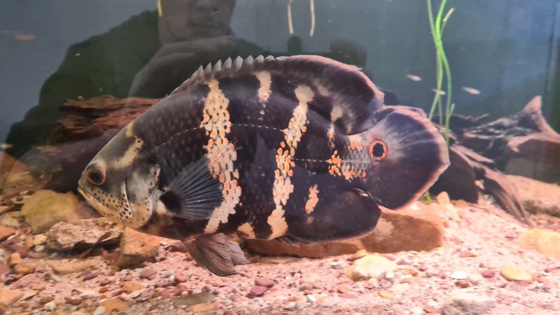 20231231_091427.jpg 20231231_091427.jpg