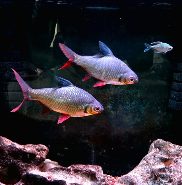 1000007288.jpg 1000007288.jpg