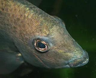 1761851854301.png 1761851854301.png