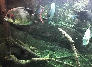 1761851936645.png 1761851936645.png