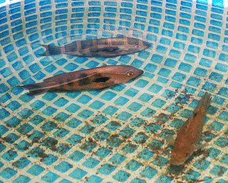 1761853200157.png 1761853200157.png