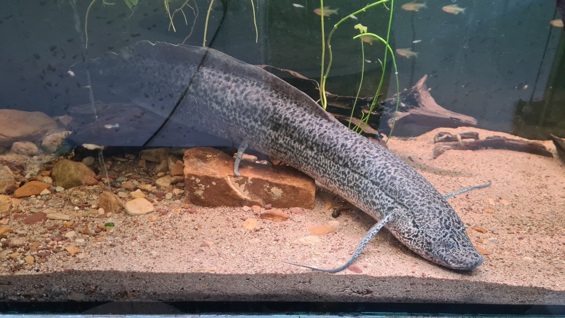 20231226_145650.jpg 20231226_145650.jpg