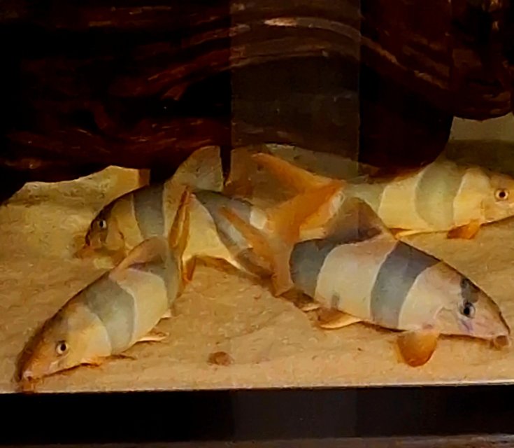 1000007660.jpg 1000007660.jpg