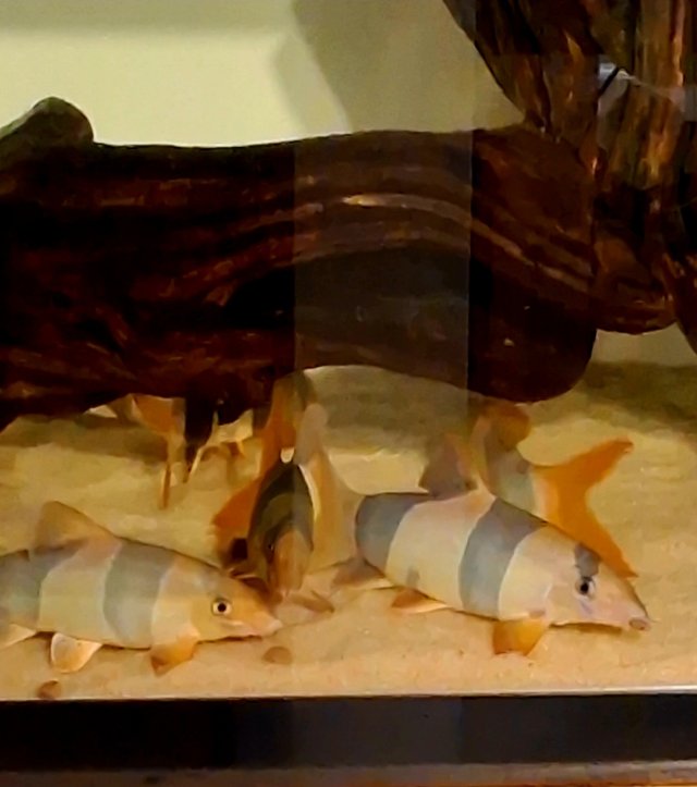 1000007658.jpg 1000007658.jpg