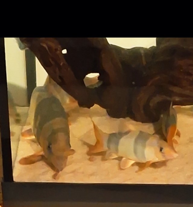 1000007665.jpg 1000007665.jpg