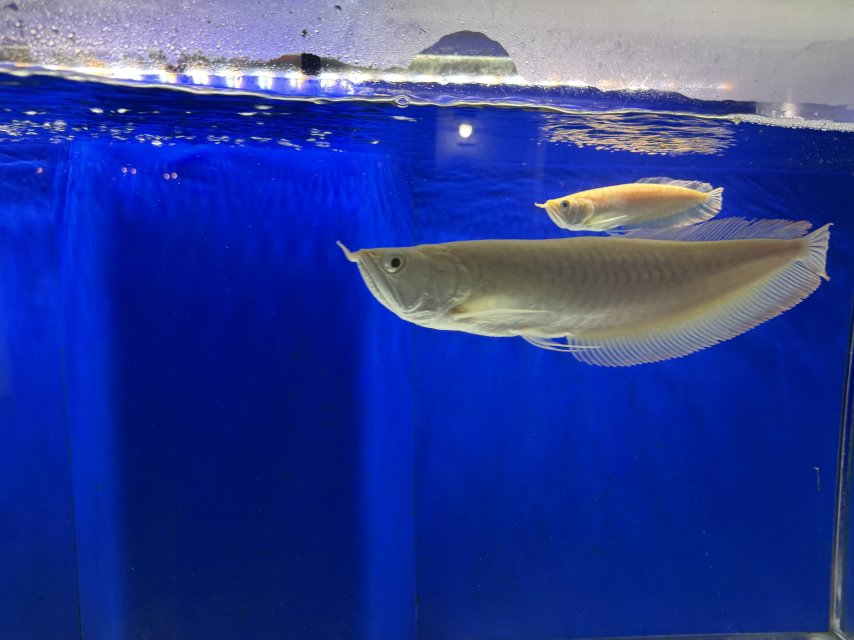 IMG_7719.jpeg IMG_7719.jpeg