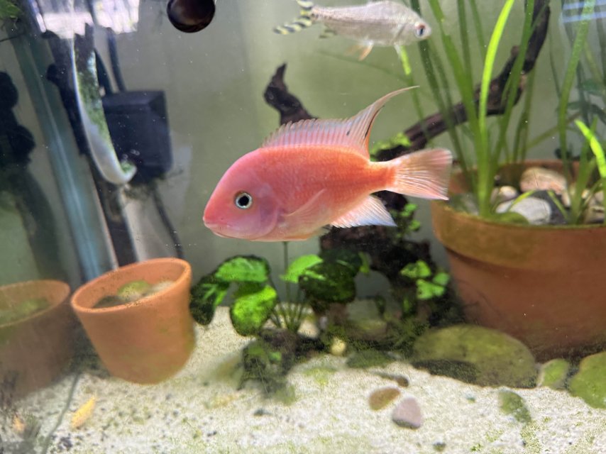 SRM 1 (2).jpg SRM 1 (2).jpg