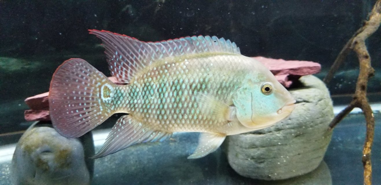 20190527_200704.jpg 20190527_200704.jpg