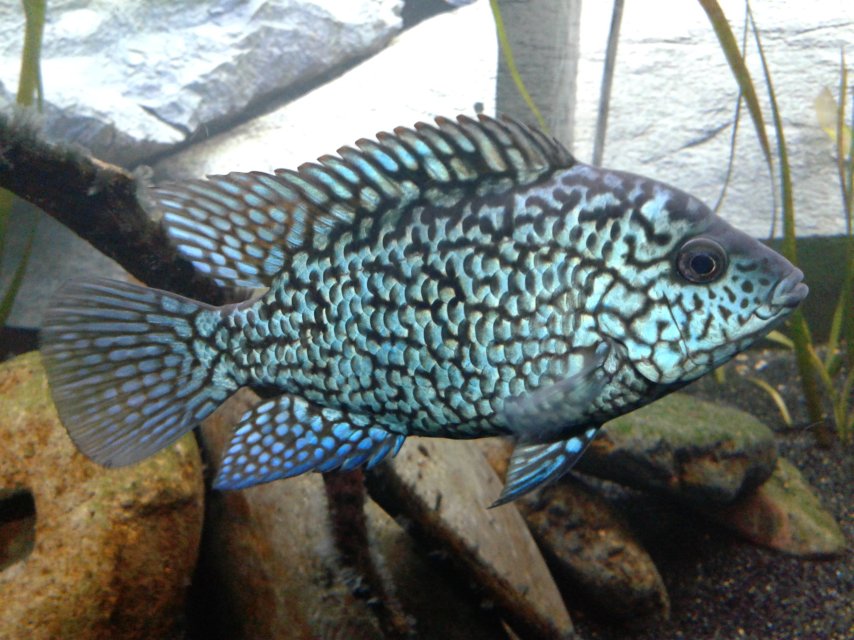 20190111_160625.jpg 20190111_160625.jpg