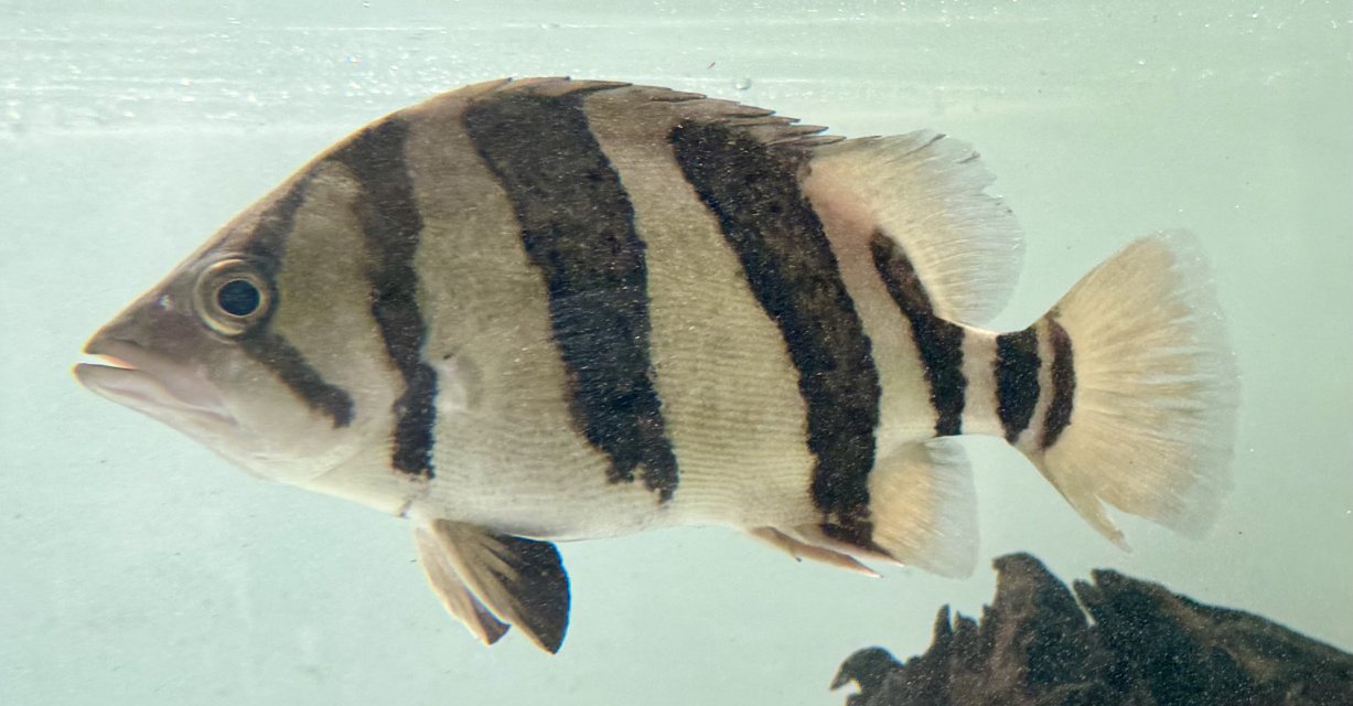 IMG_7027.jpeg IMG_7027.jpeg