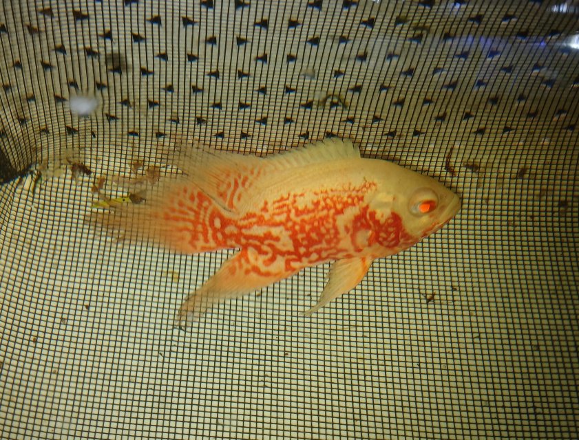 20251031_201405 - Copy.jpg