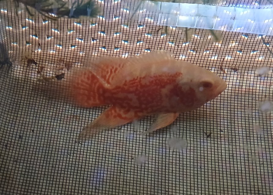 20251031_201328 - Copy (2).jpg