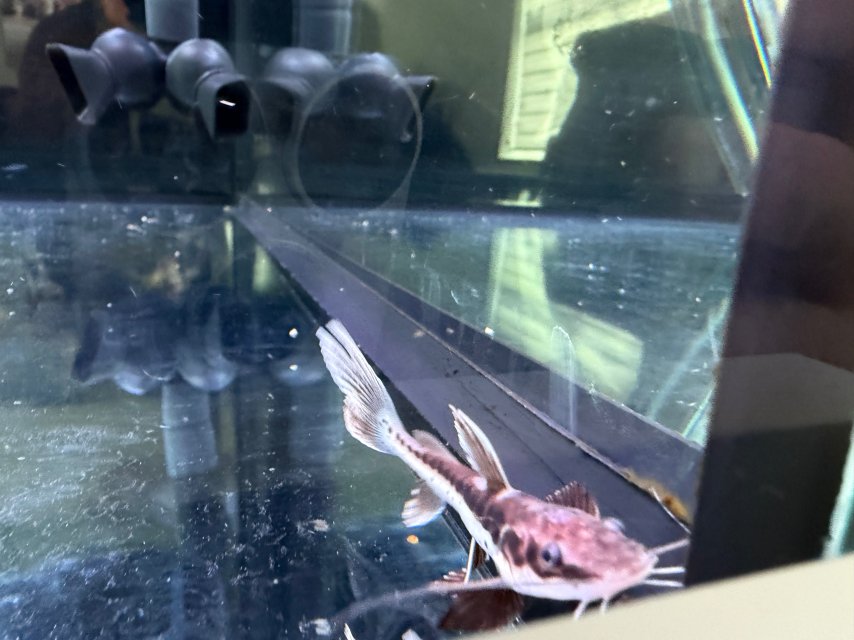 IMG_6750.jpeg IMG_6750.jpeg