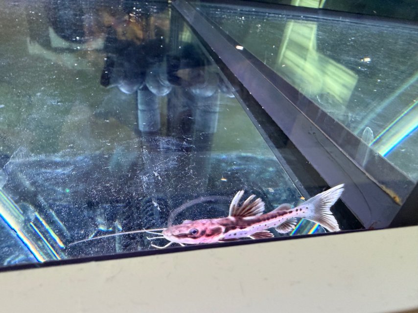 IMG_6752.jpeg IMG_6752.jpeg