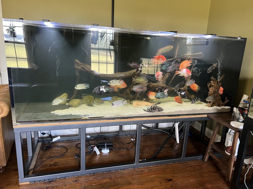 IMG_4945.jpeg IMG_4945.jpeg