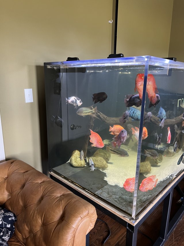 IMG_4946.jpeg IMG_4946.jpeg