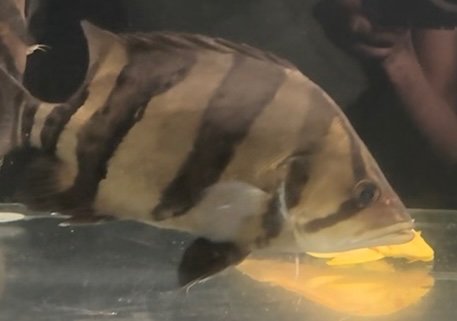 IMG_9730.jpeg IMG_9730.jpeg