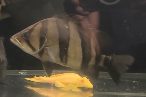 IMG_9731.jpeg IMG_9731.jpeg