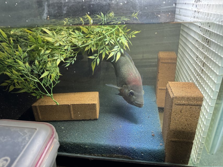 IMG_5842.jpeg IMG_5842.jpeg