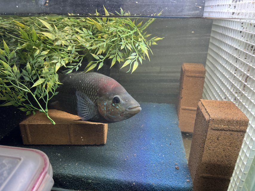 IMG_5844.jpeg IMG_5844.jpeg