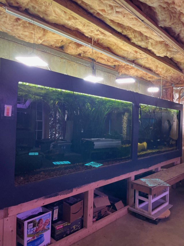 The Mighty and Dark.jpg