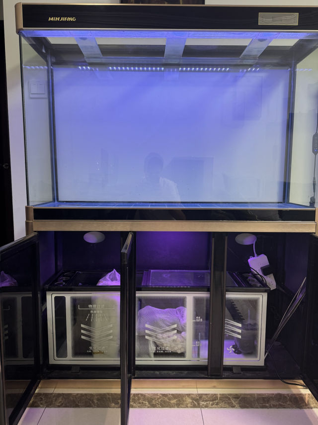 1762324709100.png 1762324709100.png